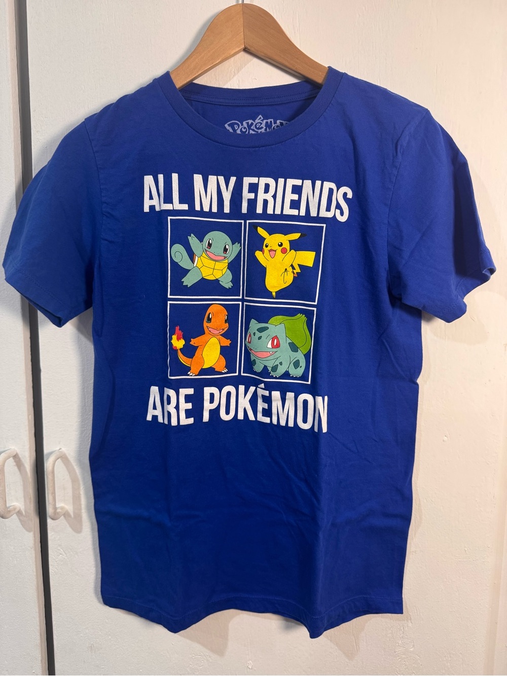 Pokemon All My Friends Are Pokemon Graphic T-Shirt Adult XL Pikachu 2020